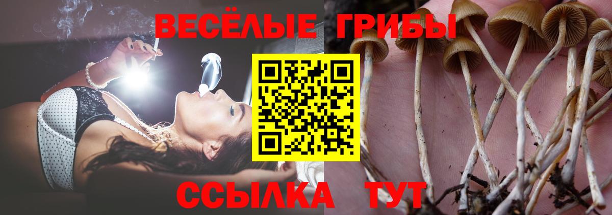 Орёл  Галлюциногенные грибы Psilocybe  Вход с VPN 